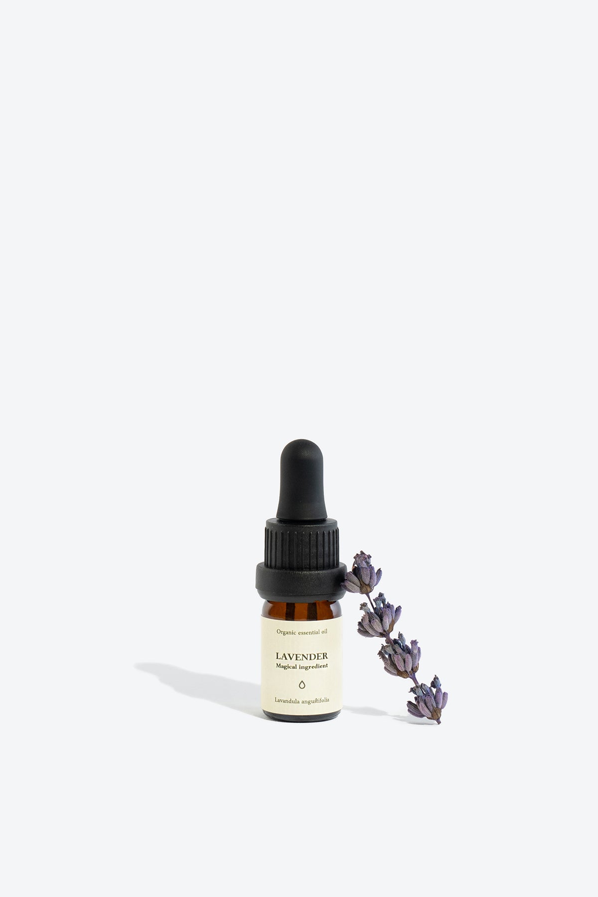 LAVENDER essential oil